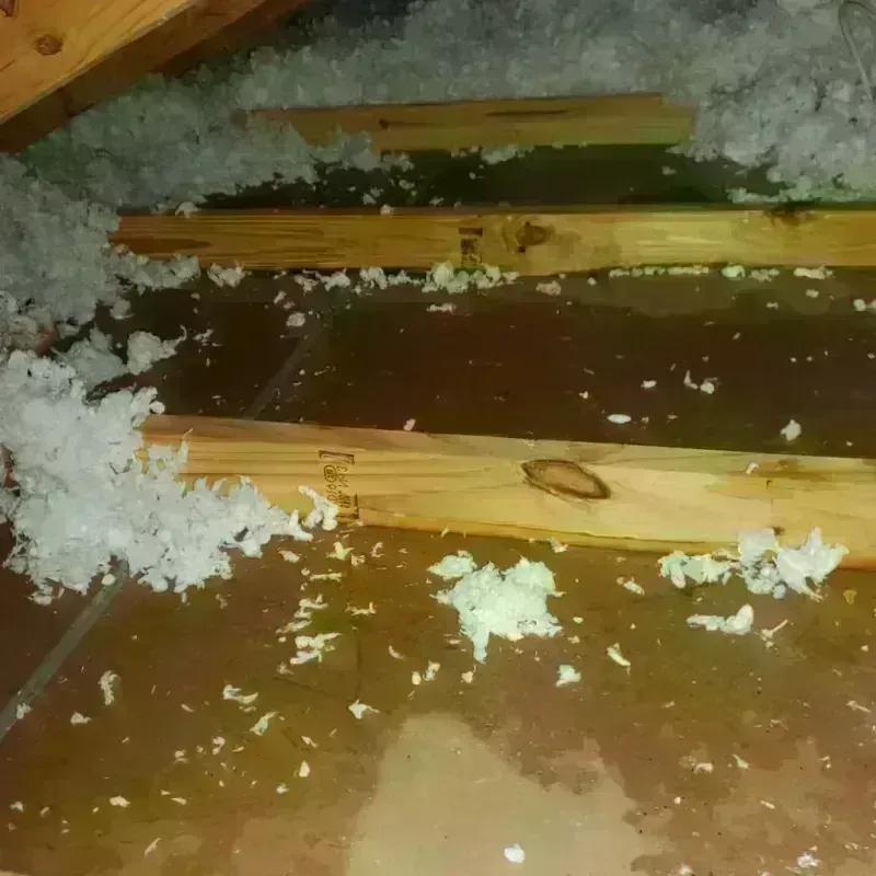 Attic Water Damage in Santee, CA